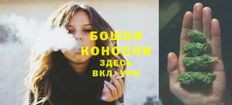 Марихуана SATIVA & INDICA  как найти наркотики  Уржум 